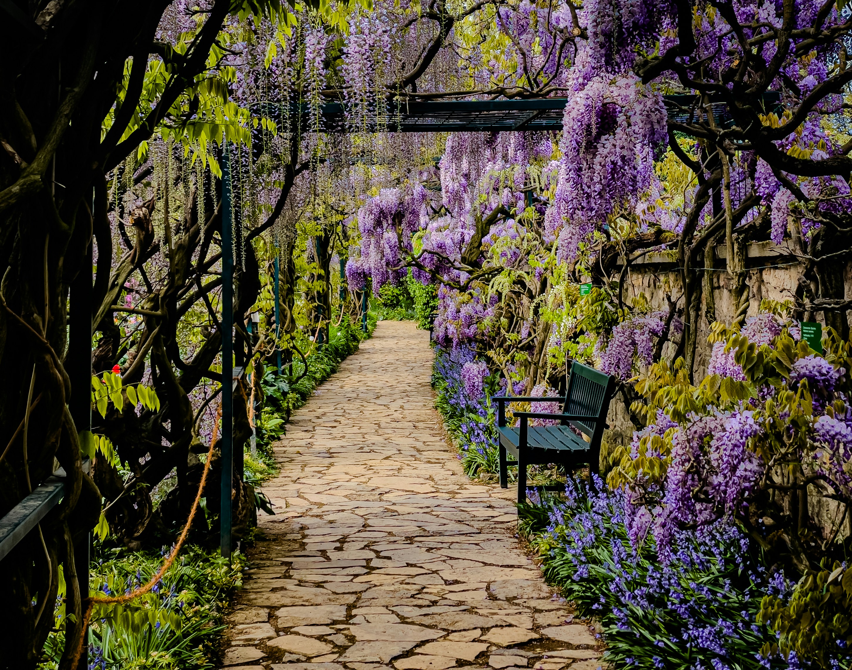Giardino mediterraneo progettato da Adurem a Roma