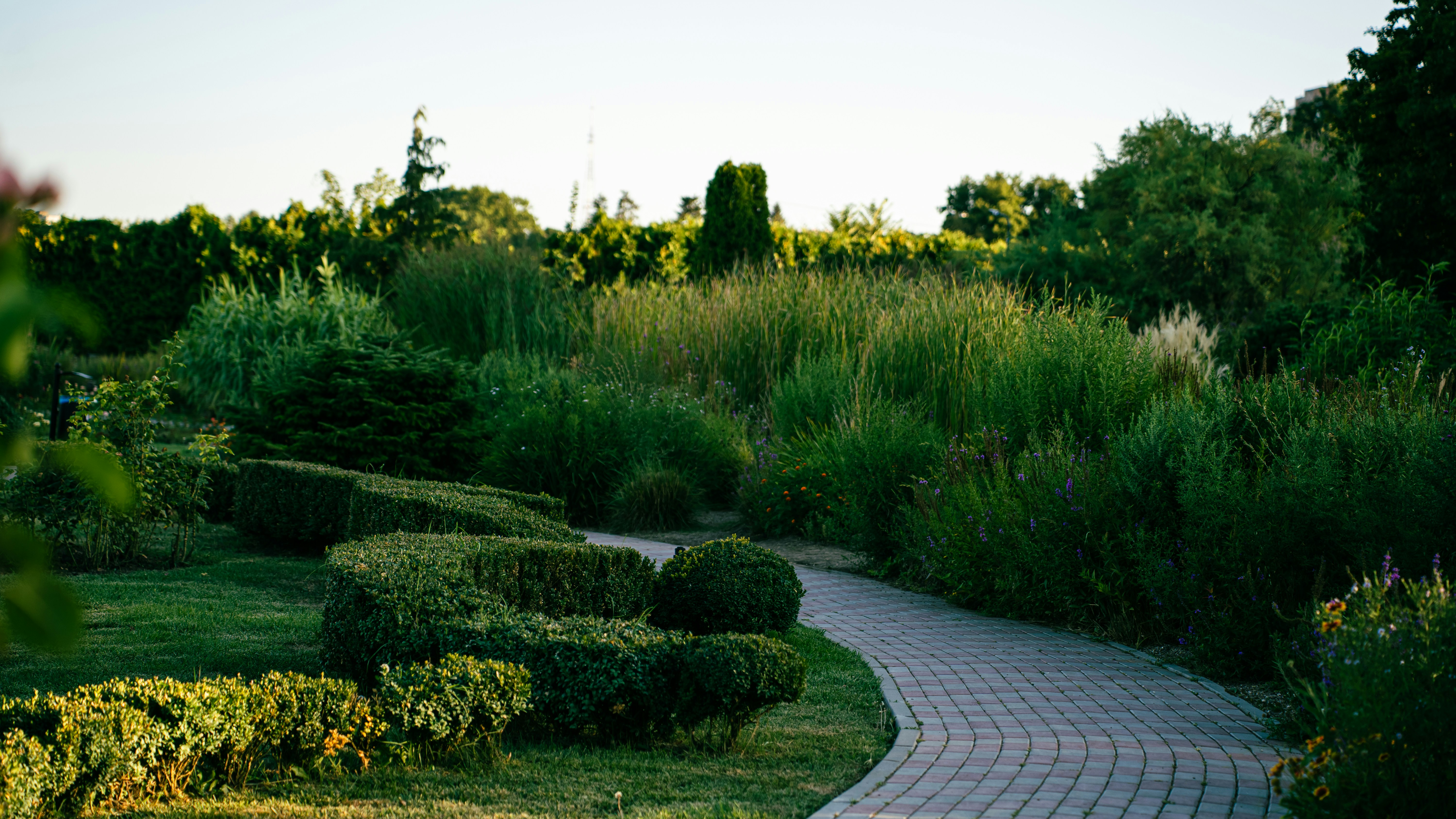 Progettazione giardini residenziali