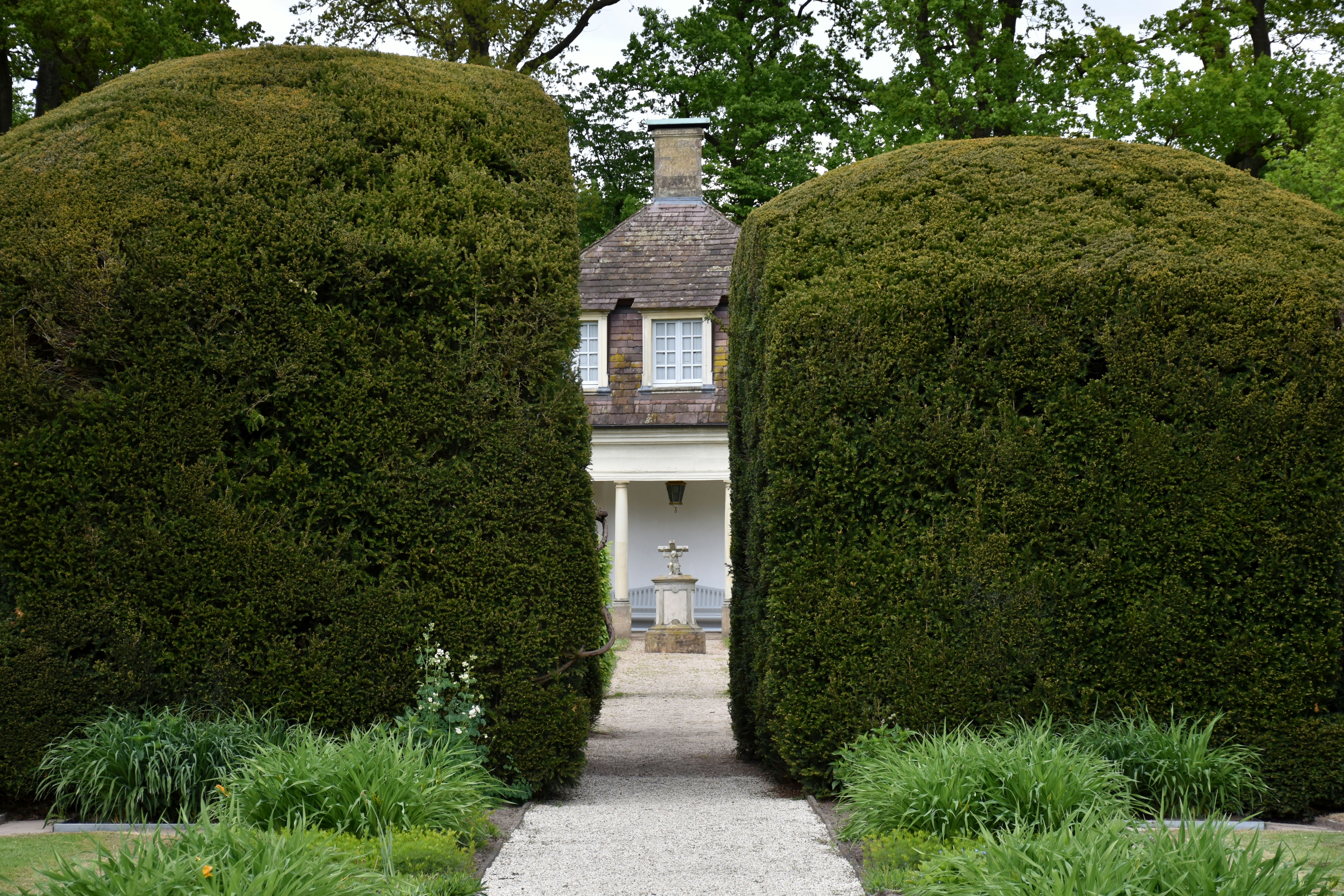 Manutenzione del verde